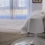 Solution Home Solari